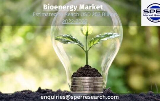 Bioenergy Market