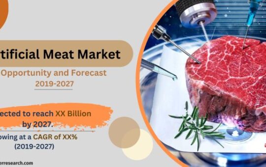Artificial Meat Market