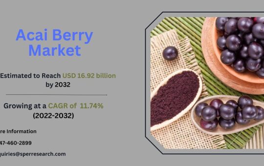 Acai Berry Market