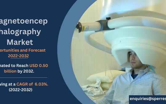 Magnetoencephalography Market