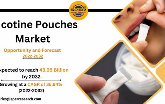 Nicotine Pouches Market