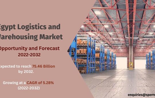 Egypt Logistics and Warehousing Market Size