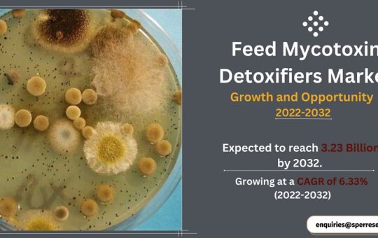 Feed Mycotoxin Detoxifiers Market
