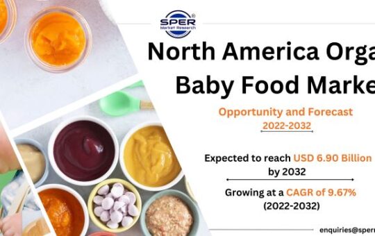 North America Organic Baby Food Market