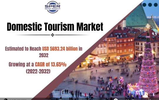 Domestic Tourism Market