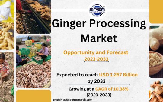 Ginger Processing Market