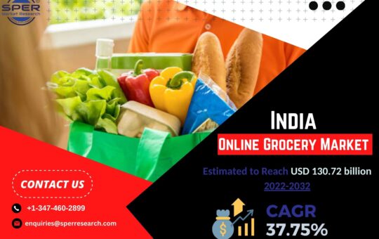 India Online Grocery Market