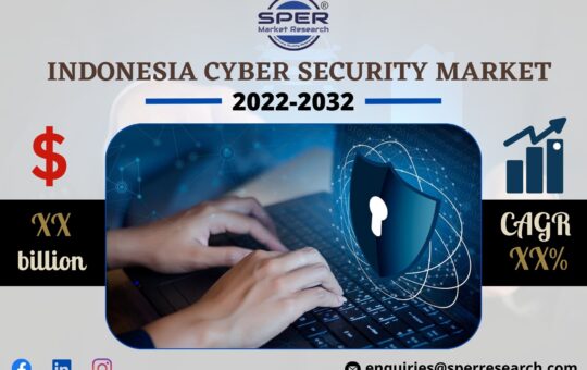 Indonesia Cyber Security Market