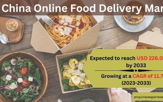 China Online Food Delivery Market