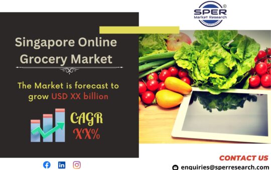 Singapore Online Grocery Market