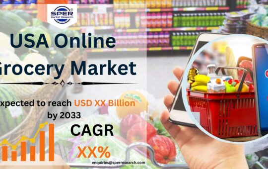 USA Online Grocery Market
