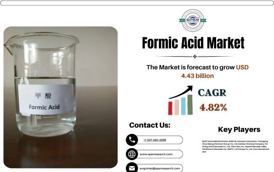 Formic Acid Market