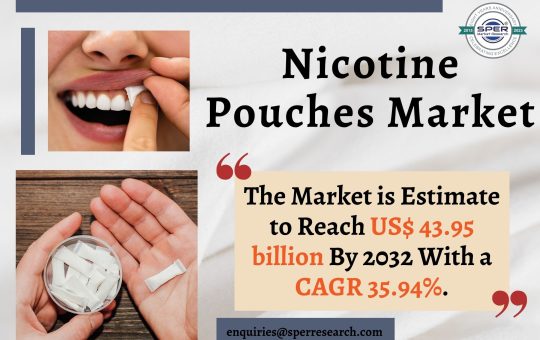 Nicotine Pouches Market