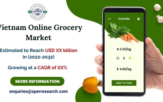 Vietnam-Online-Grocery-Market