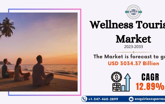 Wellness Tourism Market