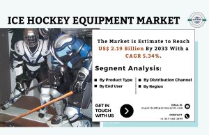 Ice Hockey Equipment Market