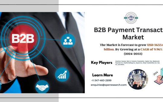 B2B Payment Transaction Market