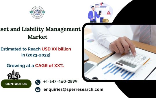 Asset and Liability Management (Alm) Market