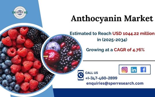 Anthocyanin Market