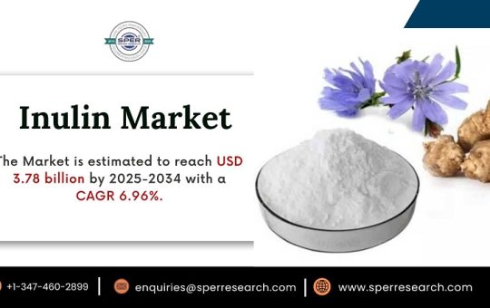Inulin Market