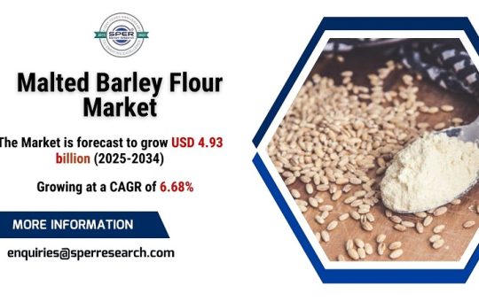 Malted Barley Flour Market