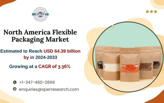 North America Flexible Packaging Market
