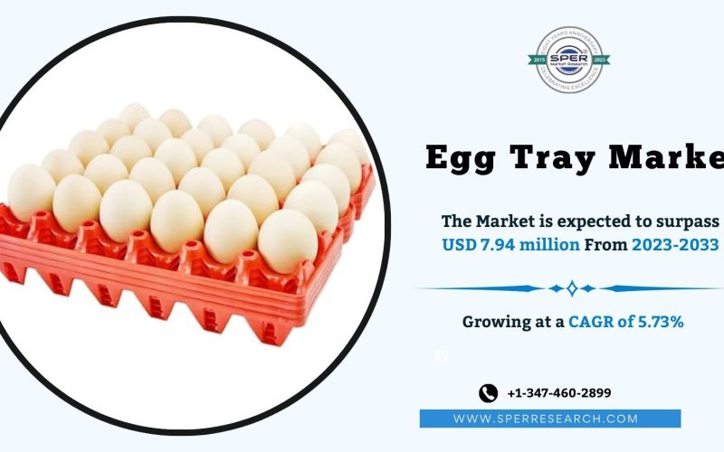 Egg Tray Market