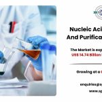 Nucleic Acid Isolation And Purification Market Size, Report, Growth, Trends and Future Outlook 2034: SPER Market Research