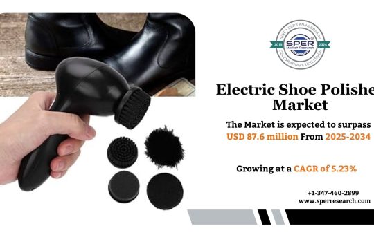 Electric Shoe Polisher Market