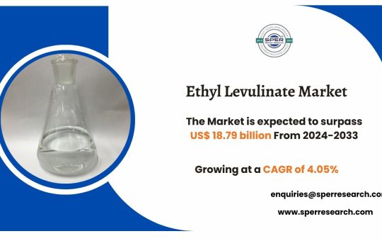 Ethyl Levulinate Market