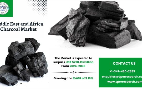 Middle East and Africa Charcoal Market