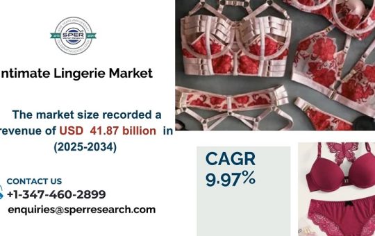 Intimate Lingerie Market1