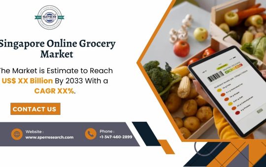 Singapore Online Grocery Market
