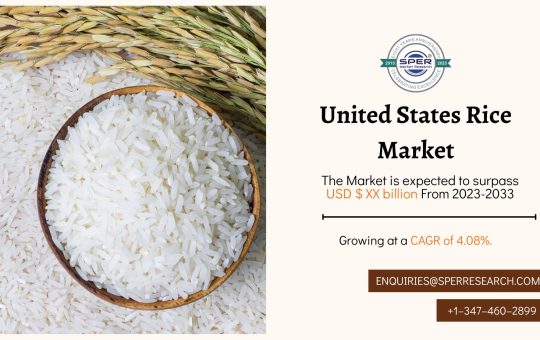 United States Rice Market