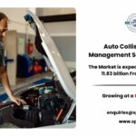 Future of Auto Collision Repair Management Software Market: Trends and Revenue Forecast 2034