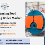 Condensing Food Processing Boiler Market Insights: Forecast by Application and Region 2034