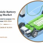 Electric Vehicle Battery Recycling Market Size and Share 2034