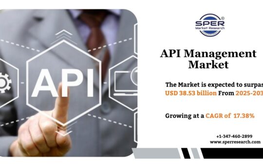 API Management Market