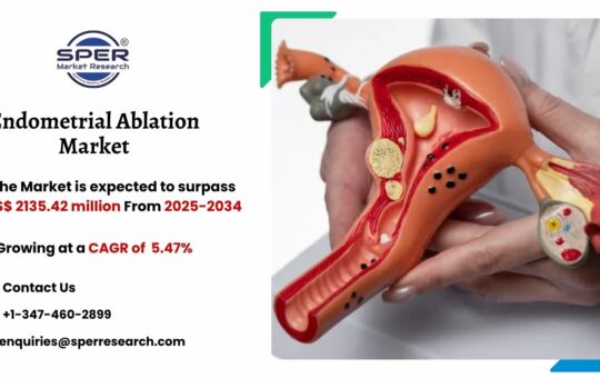 Endometrial Ablation Market