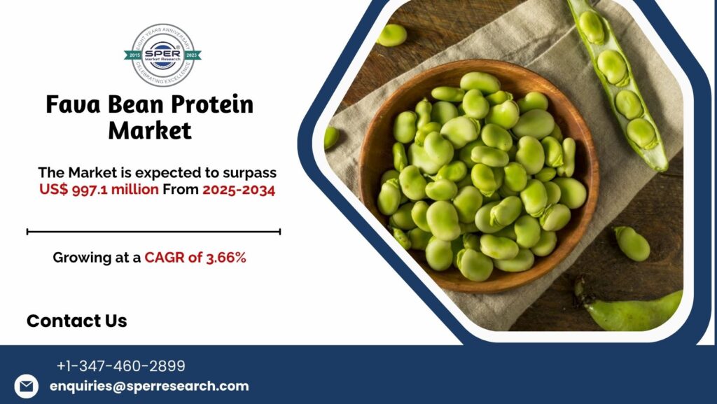 Fava Bean Protein Market
