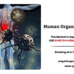 Human Organoids Market Size, Growht and Analysis
