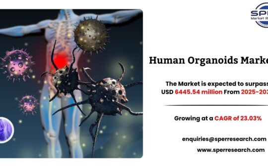 Human Organoids Market