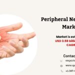 Peripheral Nerve Injury Market Size, Forecast and Outlook