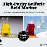 High-Purity Sulfuric Acid Market Future Investment 2034