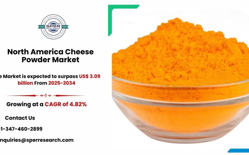 North America Cheese Powder Market