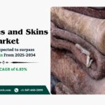 Raw Hides and Skins Market Size, Share and Analysis